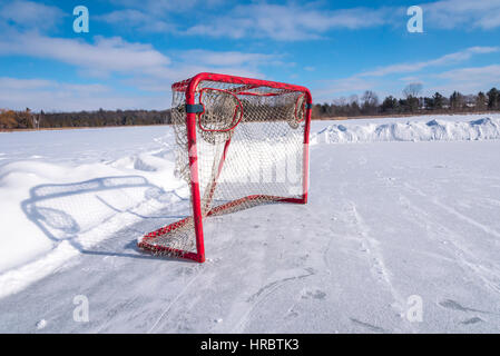 Una rete di hockey Ontario Canada si siede sul ghiaccio di un laghetto congelato in un freddo cielo blu al giorno. Foto Stock