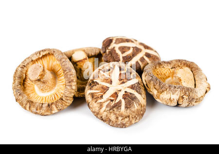 Essiccato Funghi Shitake isolati su sfondo bianco. Foto Stock