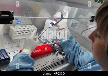 Zooprophyilactic istituto per la Lombardia e l'emilia (talia), analisi di uovo per la possibile contaminazione Foto Stock