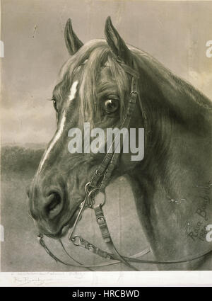 Rosa Bonheur - Un Monsieur le Colonnello Cody Foto Stock