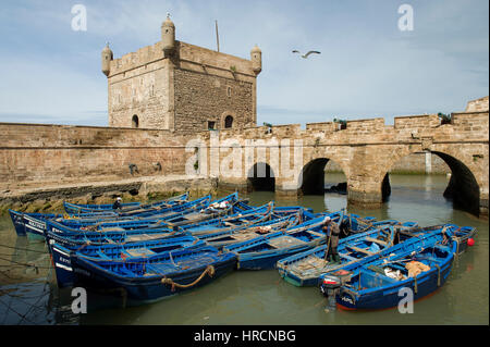 Il famoso blu barche da pesca nel porto storico di Essaouira sulla costa atlantica del Marocco Foto Stock