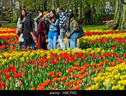 I turisti provenienti da Asia di scattare le foto della fioritura tulipani a Keukenhof giardini di fiori Lisse, Paesi Bassi Foto Stock