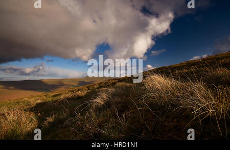 Vista la molla di Mynydd Troed in Montagna Nera, Parco Nazionale di Brecon Beacons, Wales, Regno Unito Foto Stock