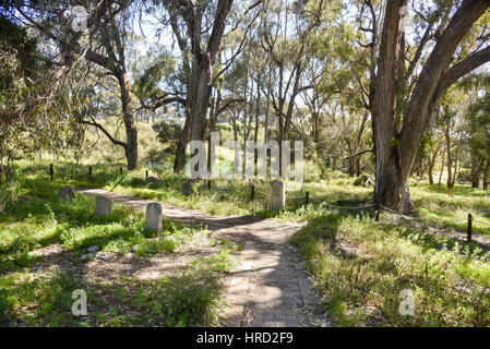 Rottnest lapidi del cimitero con un sentiero nella piccola area boscata a Rottnest Island in Australia Occidentale. Foto Stock