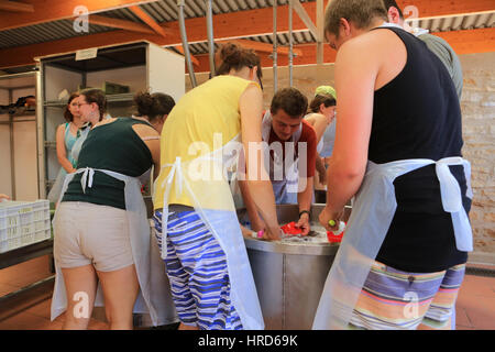 Giovani pellegrini facendo i piatti. Taize comunità ecumenica. Foto Stock