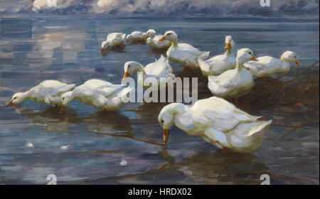 Alexander Koester Enten am Seeufer Foto Stock
