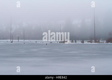 Un paesaggio invernale a Westwood, Lago di Nanaimo, BC, Canada adottata nel gennaio mostrando il lago ghiacciato. Foto Stock