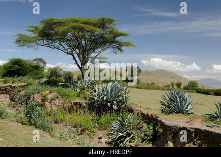 Tipico paesaggio africano - Livingstone montagne Foto Stock