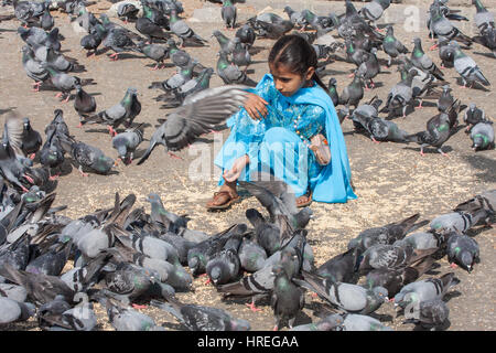 Bambino,i bambini,famiglia,l'alimentazione,riproduzione,ACCESO,tra,piccioni,uccelli,a,Gateway,d,l'India,Colaba,Mumbai,Bombay,l'India,Indian,Asia,asiatica, Foto Stock