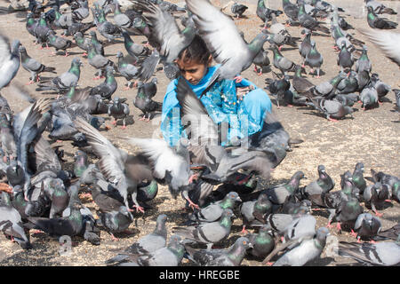 Bambino,i bambini,famiglia,l'alimentazione,riproduzione,ACCESO,tra,piccioni,uccelli,a,Gateway,d,l'India,Colaba,Mumbai,Bombay,l'India,Indian,Asia,asiatica, Foto Stock