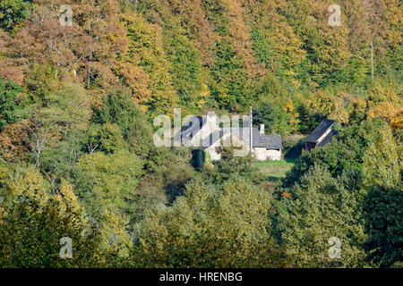 Vecchia fattoria in autunno, Varenne Valley, a nord Mayenne (Mayenne,Loire, Francia). Foto Stock