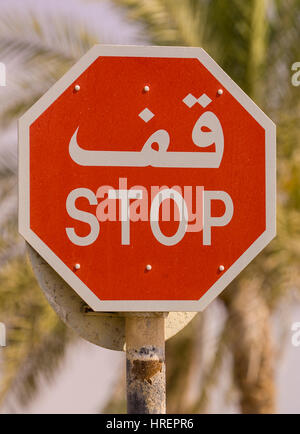 FUJAIRAH, EMIRATI ARABI UNITI - stop rosso, bilingue. Foto Stock