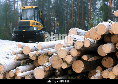 SALO, Finlandia - 18 dicembre 2016: Stack di neve e di gelo coperto tronchi di legno in foggy inverno foresta con PONSSE Elk forest spedizioniere sul backgrou Foto Stock