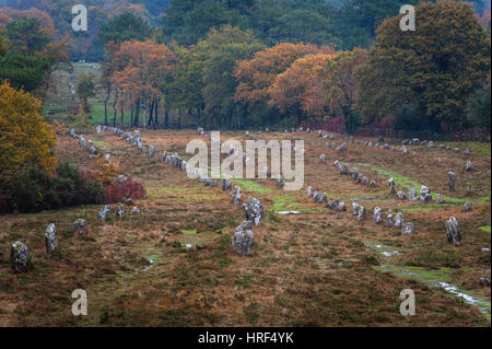 Le pietre di Carnac (Alignements de Carnac) sono eccezionalmente fitta raccolta di siti megalitici intorno al villaggio di Carnac in Bretagna. La sto Foto Stock