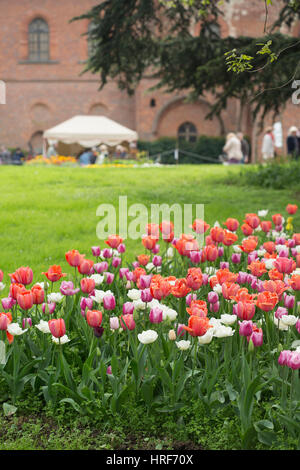 Bellissimi i tulipani sul giardino del castello di Pralormo, Torino, Piemonte, Italia Foto Stock