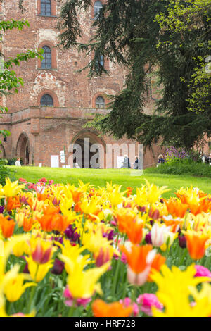 Bellissimi i tulipani sul giardino del castello di Pralormo, Torino, Piemonte, Italia Foto Stock