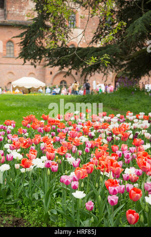 Bellissimi i tulipani sul giardino del castello di Pralormo, Torino, Piemonte, Italia Foto Stock