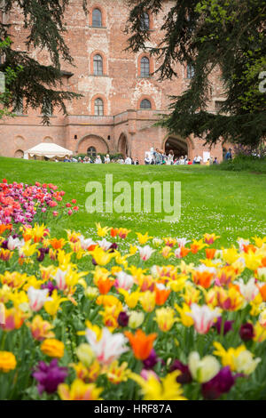 Bellissimi i tulipani sul giardino del castello di Pralormo, Torino, Piemonte, Italia Foto Stock