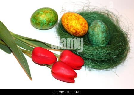 Colorate le uova di pasqua e tulipani rossi su sfondo bianco Foto Stock