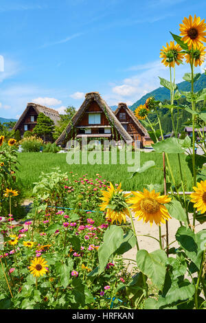 Shirakawa-go village farm house in tradizionale stile Gassho e orto, montagne Giapponesi, regione Gokyama, Giappone Foto Stock