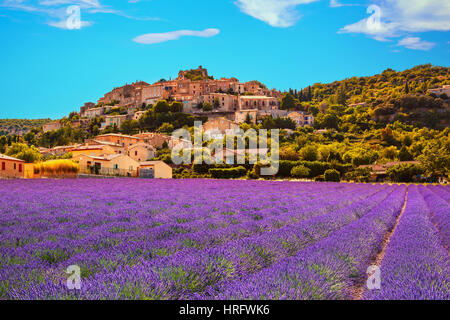 Simiane la Rotonde village e lavanda. Provence, Francia Foto Stock
