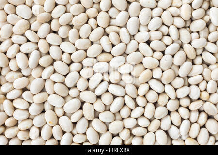 Piccola Marina, fagioli bianchi, pisello bianco, bianco rene o i cannellini Purgatorio fagioli texture di sfondo o pattern. Materie legume di cibo. Foto Stock