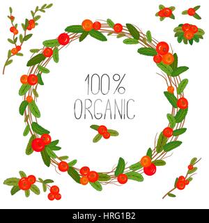 Disegnata a mano con ghirlande di bacche rosse e le filiali. Cornice rotonda Illustrazione Vettoriale