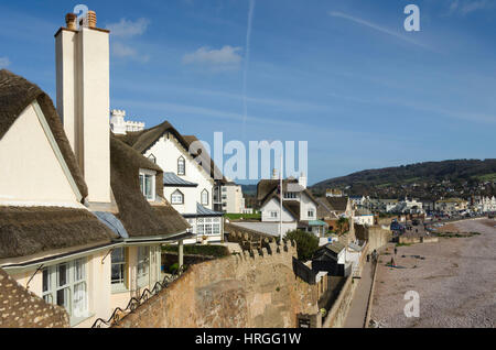 Sidmouth, Devon, Regno Unito. 2 Mar, 2017. Regno Unito Meteo. Una vista della spiaggia e della città dal punto di vista a Connaught giardini su una bella e soleggiata giornata di primavera presso la località balneare di Sidmouth nel Devon. Photo credit: Graham Hunt/Alamy Live News Foto Stock