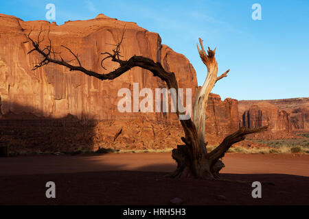 La Monument Valley, Tribal Park, Arizona, Stati Uniti d'America Foto Stock