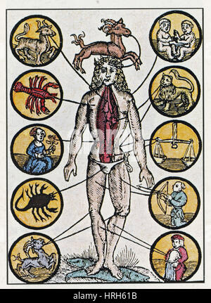 Medical Zodiaco uomo, XVI secolo Foto Stock