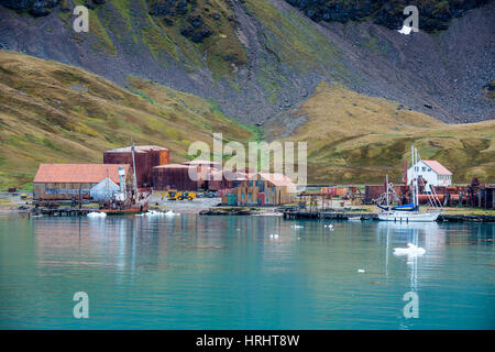 Ex stazione baleniera, Grytviken, Georgia del Sud, l'Antartide, regioni polari Foto Stock
