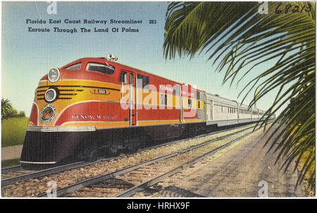 Florida East Coast Railway Streamliner lungo il tragitto attraverso la terra di Palmi Foto Stock