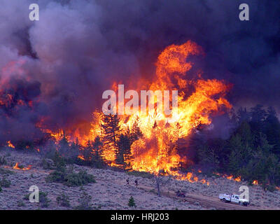 Derby Fire, Hotshot equipaggio, 2006 Foto Stock