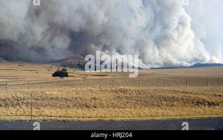 Derby Fire, 2006 Foto Stock