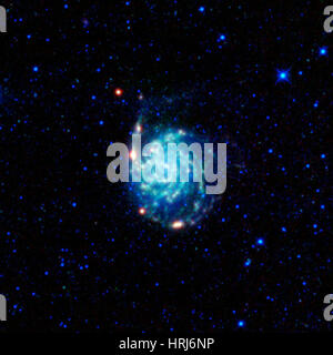 M101, girandola Galaxy, galassia a spirale Foto Stock