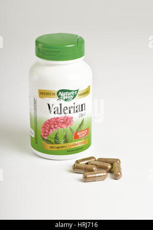 Radice di valeriana capsule Foto Stock
