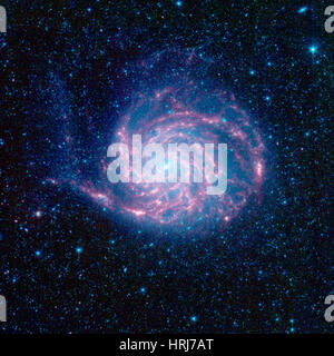 M101, NGC 5457, girandola Galaxy, galassia a spirale Foto Stock