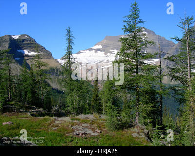 Agassiz ghiacciaio da boulder passano, 2005 Foto Stock