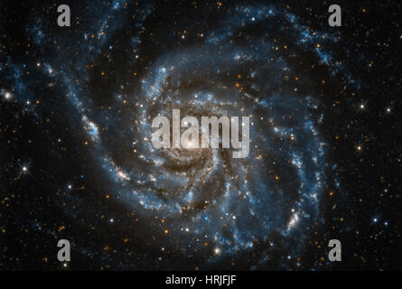 La girandola galassia M101, NGC 5457, ottico Foto Stock