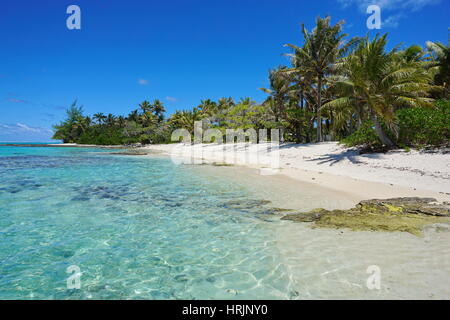 Polinesia francese spiaggia tropicale a riva con alberi a sud di Huahine isola, oceano pacifico Foto Stock