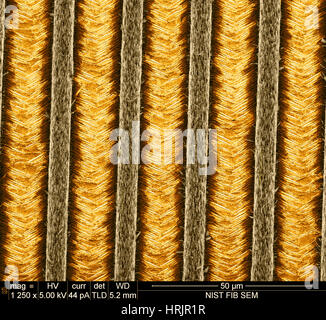 Nanofili, Nanowalls, SEM Foto Stock