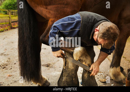 Un deposito maniscalco lo zoccolo di un cavallo che egli è la ferratura. Foto Stock