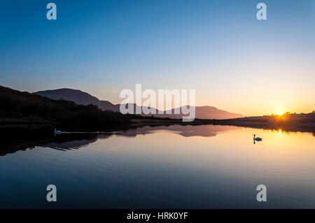 La calma atmosfera tranquilla sul lago con cigni al tramonto Foto Stock