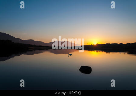 La calma tranquillo Lago con cigno al tramonto Foto Stock