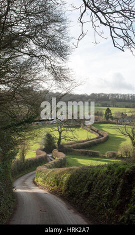 Un avvolgimento stretto viottolo di campagna nel Devon England Regno Unito Foto Stock