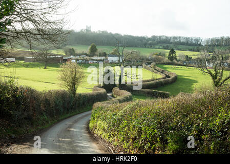 Un avvolgimento stretto viottolo di campagna nel Devon England Regno Unito Foto Stock