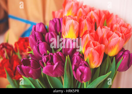 Bella rosa e viola i tulipani. Un mazzo di fiori per il 8 marzo o il giorno di San Valentino Foto Stock