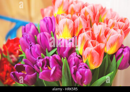 Bella rosa e viola i tulipani. Un mazzo di fiori per il 8 marzo o il giorno di San Valentino Foto Stock