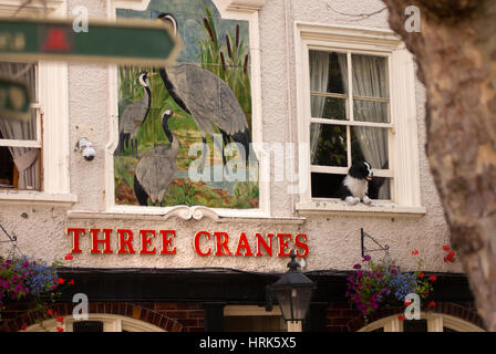 Cane con la finestra delle tre gru Public House, York Foto Stock