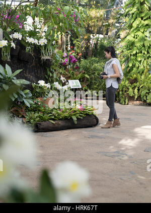 Giovane donna visualizzazione di orchidee tropicali al centro Dream, Giardino Botanico in Ocean Expo Park, Motobu, Okinawa, in Giappone Foto Stock